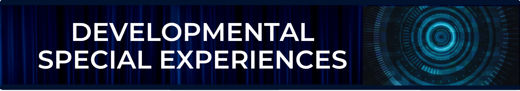 Developmental Special Experiences Banner